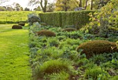 SILVER STREET FARM, DEVON: BORDER, MAY, SPRING, LAWN, CLIPPED YEW DOMES, HEDGES, HEDGING