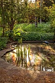 PINE HOUSE, LEICESTERSHIRE: MAY, EVENING LIGHT, POOL, POND, WATER, WOODLAND