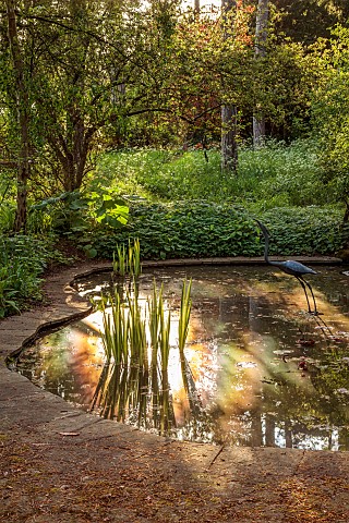 PINE_HOUSE_LEICESTERSHIRE_MAY_EVENING_LIGHT_POOL_POND_WATER_WOODLAND