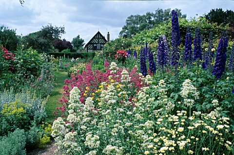 VIEW_OF_THE_HALL_WITH_DELPHINIUMS_AND_WHITE__PINK_VALERIAN_IN_THE_FOREGROUND_AT_WOLLERTON_OLD_HALL__