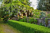 LOWER BOWDEN MANOR, BERKSHIRE: PERGOLA WITH WHITE WISTERIA, WALL, HEDGES, HEDGING