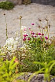 CHELSEA 2022: A SWISS SANCTUARY BY LILLY GOMM: ALPINE PLANTING