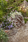 CHELSEA 2022: A SWISS SANCTUARY BY LILLY GOMM: PATH, ALPINE PLANTING, ROCKS