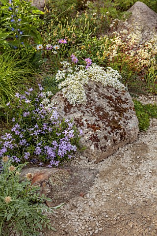 CHELSEA_2022_A_SWISS_SANCTUARY_BY_LILLY_GOMM_PATH_ALPINE_PLANTING_ROCKS