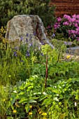 CHELSEA 2022: A SWISS SANCTUARY BY LILLY GOMM: ROCKS, WATERFALL, RHODODENDRON, BLUE IRIS SIBIRICA