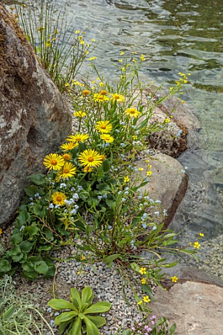 CHELSEA_2022_A_SWISS_SANCTUARY_BY_LILLY_GOMM_WATER_ROCKS_ALPINE_PLANTING