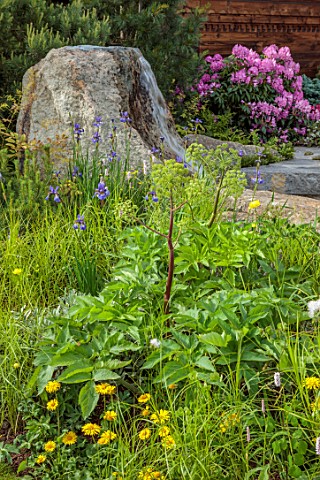 CHELSEA_2022_A_SWISS_SANCTUARY_BY_LILLY_GOMM_RHODODENDRONS_ROCKS_WATERFALL