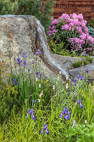 CHELSEA_2022_A_SWISS_SANCTUARY_BY_LILLY_GOMM_RHODODENDRONS_ROCKS_WATERFALL_IRIS