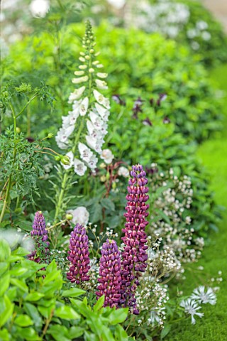 CHELSEA_2022_PERENNIAL_GARDEN_BY_RICHARD_MIERS