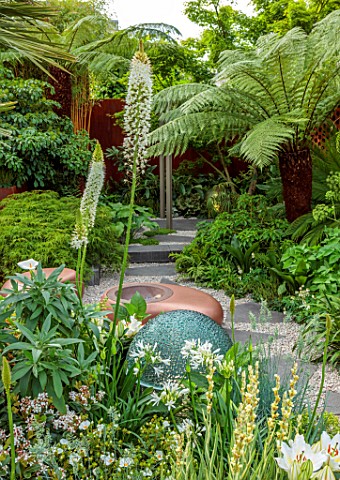 CHELSEA_2022_GARDEN_DESIGNED_BY_KATE_GOULD__GRAVEL_SEATS_PAVING_DICKSONIA_ACERS_FOLIAGE_GREEN_EREMUR