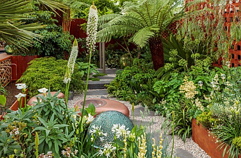 CHELSEA_2022_GARDEN_DESIGNED_BY_KATE_GOULD__GRAVEL_SEATS_PAVING_DICKSONIA_ACERS_FOLIAGE_GREEN_EREMUR