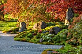 COWDEN JAPANESE GARDEN, SCOTLAND: THE DRY GARDEN, GRAVEL, ROCKS, STONES, TREES, MOSS, AZALEAS