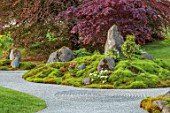 COWDEN JAPANESE GARDEN, SCOTLAND: THE DRY GARDEN, ROCKS, GRAVEL, TREES, MOSS, AZALEAS, LAWNS