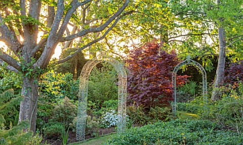 LOWER_BOWDEN_MANOR_BERKSHIRE_WOODLAND_WHITE_METAL_ARCHES_JAPANESE_MAPLES_ACERS_SHADE_SHADY