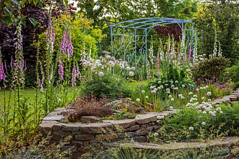LITTLE_ASH_BUNGALOW_DEVON_LAWN_RAISED_STONE_BEDS_WITH_DIGITALIS_FOXGLOVES_PINK_AND_WHITE_FLOWERED_AR