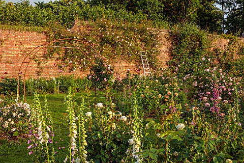 THE_FLOWER_GARDEN_AT_STOKESAY_COURT_SHROPSHIRE_THE_WALLED_GARDEN_FOXGLOVES_DIGITALIS_ROSES_WALLS_LAD