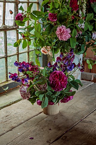 THE_FLOWER_GARDEN_AT_STOKESAY_COURT_SHROPSHIRE_THE_BOTHY_VASE_CONTAINERS_ROSES_SWEET_PEAS_ROSA_CHARL