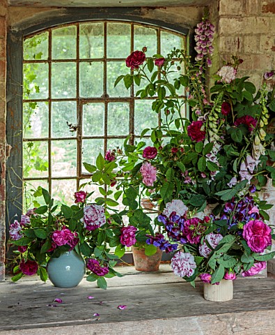 THE_FLOWER_GARDEN_AT_STOKESAY_COURT_SHROPSHIRE_THE_BOTHY_VASE_CONTAINERS_ROSES_SWEET_PEAS_ROSA_CHARL