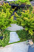 DESIGNER MATT KEIGHTLEY GARDEN, LONDON: SMALL, TOWN, GARDEN, SUMMER, PAVING, ACERS, MAPLES, HOME GYM, BUILDING, FENCES, FENCING, CHAIRS, PAVING, CONTEMPORARY, MODERN, OFFICE