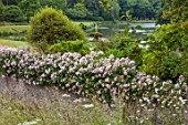 ENCOMBE HOUSE, DORSET: VIEW TO LAKE, FOUNTAIN, WALL WITH ROSES, ROSA FRANCIS E LESTER, SUMMER