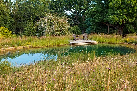 HIGHLANDS_EAST_SUSSEX_MEADOW_LAKE_POND_POOL_SWIMMING_WATER_WOODLAND_TREES_DECKING_PONTOON