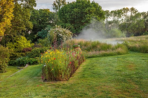 HIGHLANDS_EAST_SUSSEX_MEADOW_LAKE_POND_POOL_SWIMMING_WATER_WOODLAND_TREES_LAWN_GRASS_MIST_POPPIES