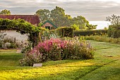 HIGHLANDS, EAST SUSSEX: LAWN, BORDERS, DIASCIA PERSONATA, LYCHNIS, LAVATERA TRIMESTRIS SILVER CUP, ECHINACEA PALLIDA HULA DANCER, PATHS, SHED, OUTBUILDING