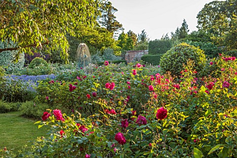 BORDE_HILL_GARDEN_WEST_SUSSEX_JAY_ROBINS_ROSE_GARDEN_JUNE_FOUNTAIN_OF_APHRODITE_BY_BRENDON_MURLESS_R