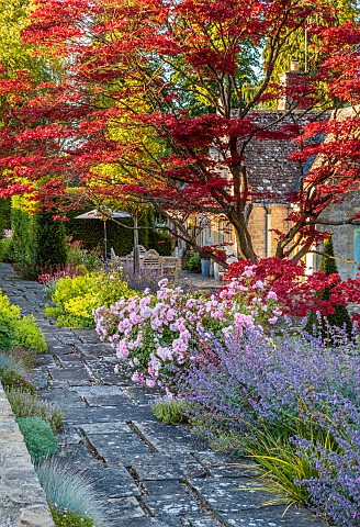 THE_SUMMERHOUSE_OXFORDSHIRE_JULY_SUMMER_GARDEN_BORDERS_TREES_COTSWOLDS_STONE_PATH_PATHS_NEPETA_CATMI