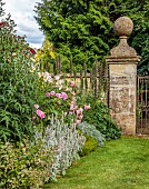 THE SUMMERHOUSE, OXFORDSHIRE: FRONT GARDEN, COTSWOLDS, BORDERS, ROSES, STACHYS, ACANTHUS SPINOSUS, LAWN