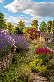 THE SUMMERHOUSE, OXFORDSHIRE: PATH, BORDERS, LAVENDER, NEPETA, ALCHEMILLA MOLLIS, PENSTEMON, ACER, HOUSE, POND, POOL, CANAL, SUMMER, COTSWOLDS, JULY