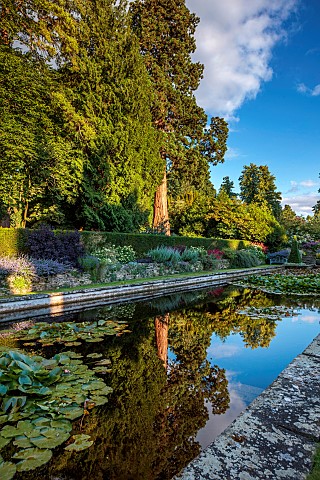 THE_SUMMERHOUSE_OXFORDSHIRE_JULY_SUMMER_CANAL_POND_POOL_WATER_GARDEN_BORDERS_TREES_WATERLILIES_GIANT