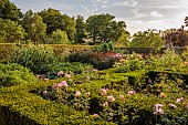 HIGHLANDS, SUSSEX: ROSES, DAHLIAS,  IN THE VEGETABLE, POTAGER, GARDEN, GREENHOUSE, HEDGES, HEDGING, CUTTING GARDEN
