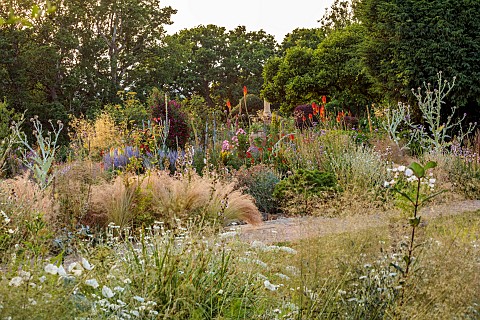 HIGHLANDS_SUSSEX_SUMMER_BORDERS_RED_HOT_POKERS_KNIPHOFIA_ONOPORDUM_ACANTHIUM_STIPA_TENUISSIMA_STIPA_