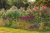 BROWN FLOWERS, OXFORDSHIRE: THE CUTTING GARDEN IN SUMMER, FLOWERS, BLOOMS, SWEET PEAS, ALLIUMS