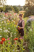 BROWN FLOWERS, OXFORDSHIRE: ANNA BROWN IN HER FIELD OF FLOWERS, CUTTING, GARDEN, SUMMER