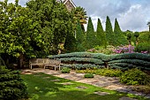 YORK GATE, YORKSHIRE: HORIZONTAL CLIPPED, ESPALIERED CEDAR, BORDER WITH PHLOX, JULY, CLIPPED SAILS TOPIARY YEW, WOODEN BENCH, SEAT