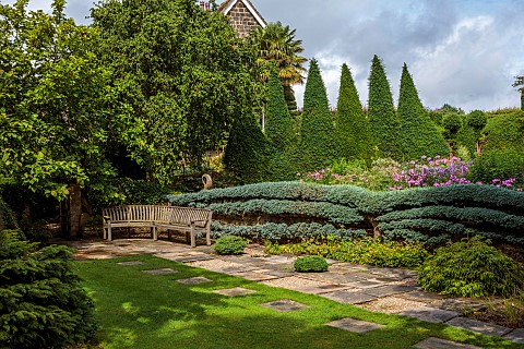 YORK_GATE_YORKSHIRE_HORIZONTAL_CLIPPED_ESPALIERED_CEDAR_BORDER_WITH_PHLOX_JULY_CLIPPED_SAILS_TOPIARY