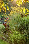STOCKCROSS HOUSE, BERKSHIRE: BORDERS, PINK FLOWERS, BLOOMS OF CANNA IRIDIFLORA, YELLOW FLOWERS OF FENNEL, FOENICULUM VULGARE, TROPICAL, FOLIAGE
