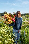 FLOWER & FARMER: MILLY IN THE FLOWER FIELD WITH DAHLIAS, SUMMER, SEPTEMBER