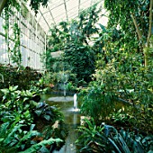 THE BARBICAN CONSERVATORY GARDEN  LONDON
