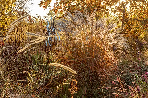 NORWELL_NURSERIES_NOTTINGHAMSHIRE_WOODLAND_MISCANTHUS_SMOKEY_EMBERS_METAL_WIND_CHIME_SCULPTURE_AUTUM