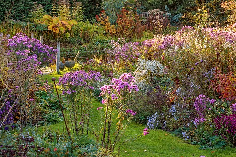 NORWELL_NURSERIES_NOTTINGHAMSHIRE_BORDERS_OF_ASTERS_BESIDE_THE_POND_POOL_AUTUMN_LAWN_PATHS