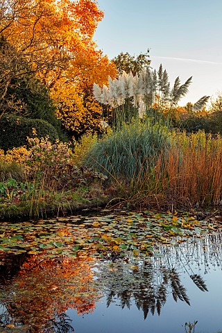 ST_TIMOTHEE_BERKSHIRE_AUTUMN_FALL_OCTOBER_FOLIAGE_LAWN_WATER_POND_POOL_LAKE_PAMPAS_GRASS_LIRIODENDRO