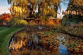 ST TIMOTHEE, BERKSHIRE: LAKE, POND, POOL, WATER, AUTUMN, OCTOBER, FALL, FOLIAGE, WATERLILIES, REFLECTIONS, PAMPAS GRASS