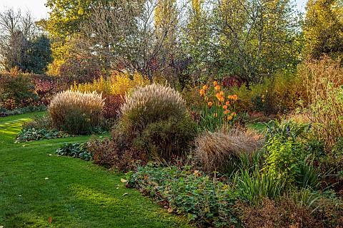 ST_TIMOTHEE_BERKSHIRE_AUTUMN_FALL_OCTOBER_FOLIAGE_LAWN_BORDER_KNIPHOFIA_RED_HOT_POKERS_MISCANTHUS_KL