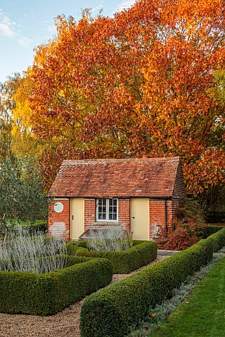 ST_TIMOTHEE_BERKSHIRE_AUTUMN_OCTOBER_FALL_FOLIAGE_HEDGES_HEDGING_OUTBUILDING_SHED_LAWN_RED_OAK_QUERC