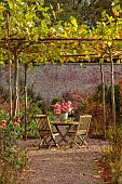 THE LAUNDRY GARDEN, DENBIGH, WALES: NOVEMBER, AUTUMN, FALL, WALLED GARDEN, PATH, WOODEN TABLE, CHAIRS, DAHLIAS, CONTAINER, PLANE TREE
