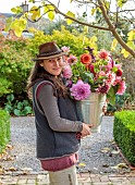 THE LAUNDRY GARDEN, DENBIGH, WALES: JENNY WILLIAMS HOLDING CONTAINER OF DAHLIAS BY FIG BESIDE THE WALLED GARDEN ENTRANCE, WALLS, BLUE GATE, NOVEMBER, FALL