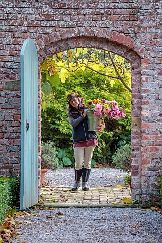 THE_LAUNDRY_GARDEN_DENBIGH_WALES_JENNY_WILLIAMS_HOLDING_CONTAINER_OF_DAHLIAS_BY_FIG_BESIDE_THE_WALLE